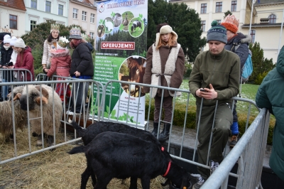 XII Bydgoski Orszak Trzech Króli